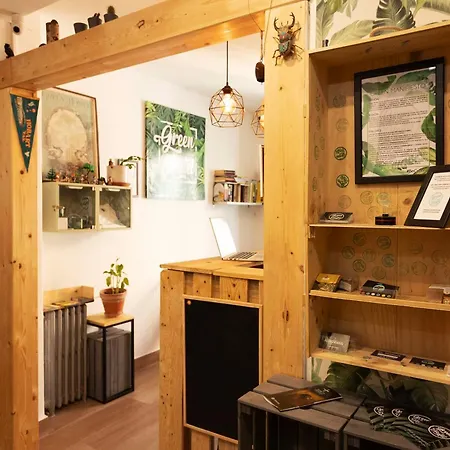 Albergue Green Hostel Oviedo *